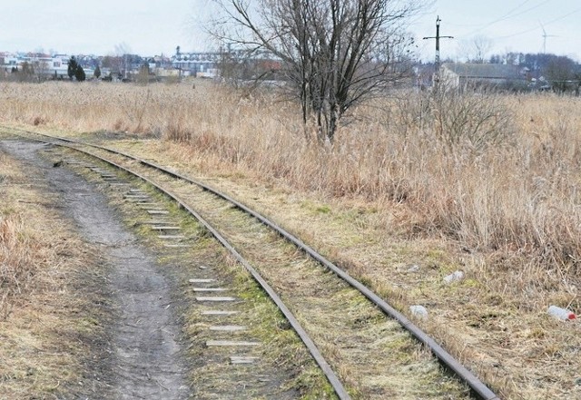 Klara G. jechała rowerem z działki na cmentarz ścieżką przy torach kolejki wąskotorowej w Żninie. Została zamordowana.