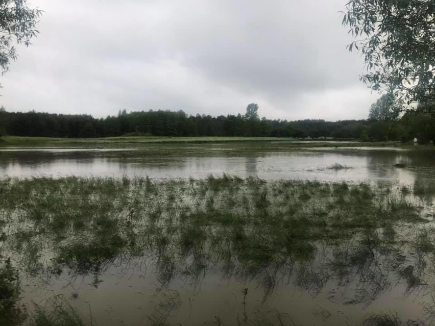 Nawałnica przeszła nad gminą Rytwiany. Nieprzejezdna droga z miejscowości Podborek do Oleśnicy [SZCZEGÓŁY]