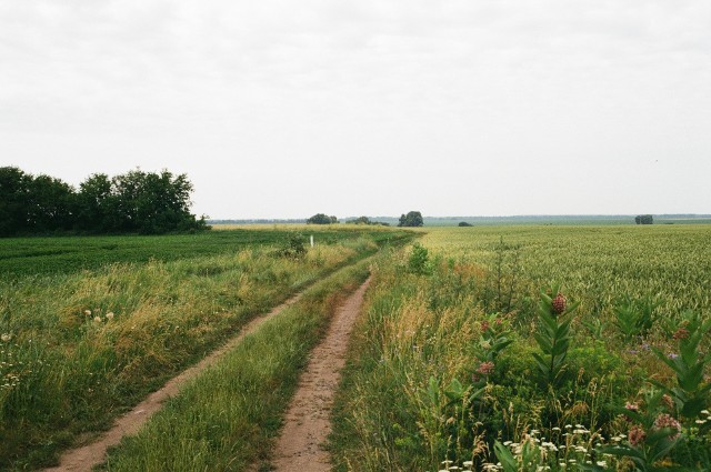 W Kujawsko-Pomorskiem można znaleźć wiele działek budowlanych w okazyjnych cenach. Przejrzeliśmy oferty w serwisie otodom.pl i wybraliśmy działki budowlane o powierzchni do 2 tysięcy metrów kwadratowych, które miały najniższą cenę za metr kwadratowy. Może na jednej z nich powstanie w przyszłości Twój wymarzony dom? Sprawdź!Zdjęcia, ceny i lokalizacje najtańszych działek budowlanych w Kujawsko-Pomorskiem w dalszej części galerii. Przesuń zdjęcie gestem lub naciśnij strzałkę w prawo.