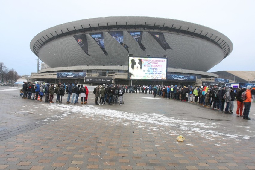 Katowice, Spodek, godz. 7. IEM Katowice 2017: fani gier...