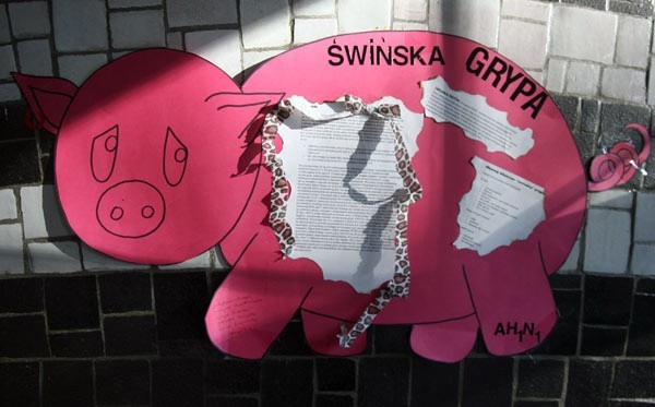 Różowy prosiak to dzieło uczniów z Zespołu Szkół nr 1 w Rzeszowie. Wisi tuż przy wejściu do szkoły i przyciąga uwagę. Wewnątrz są pożyteczne informacje o świńskiej grypie.