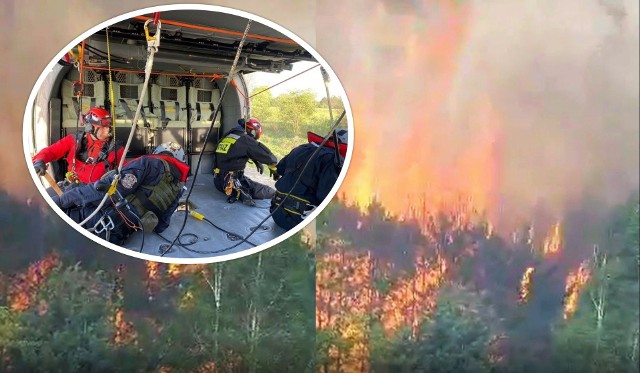 Akcja gaszenia wielkiego pożaru lasu w pobliżu wsi Prosna w gminie Nowe Miasto nad Pilicą. Zobacz przerażające zdjęcia z pożaru i akcji.