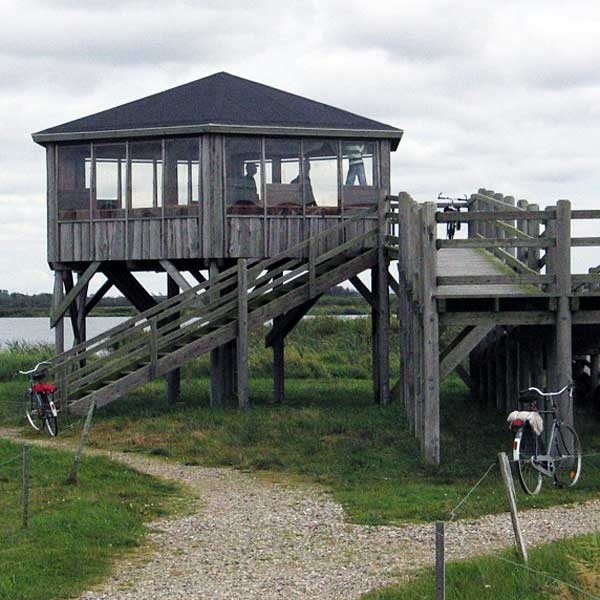 Tak wygląda wieża do obserwacji ptaków koło Ringkobing w Danii. Przemyska będzie nieco mniejsza.