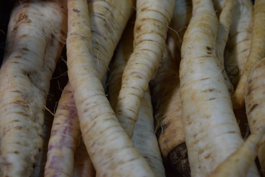 Korzeń pietruszki – 9,00 zł/kg