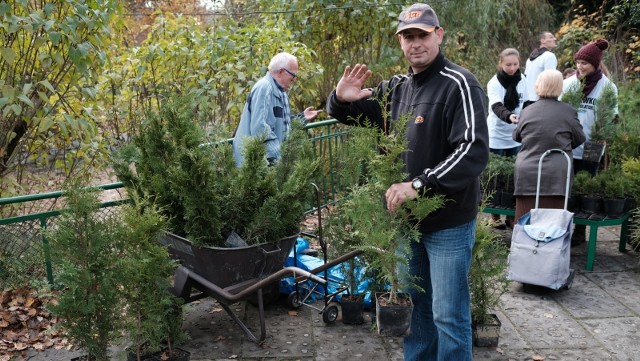 W Mosinie akcja ,,Choinka za makulaturę" odbędzie się po raz pierwszy, ale ,,Głos Wielkopolski" wcześniej organizował podobne wydarzenia pod hasłem ,,Drzewko za makulaturę" w Poznaniu.