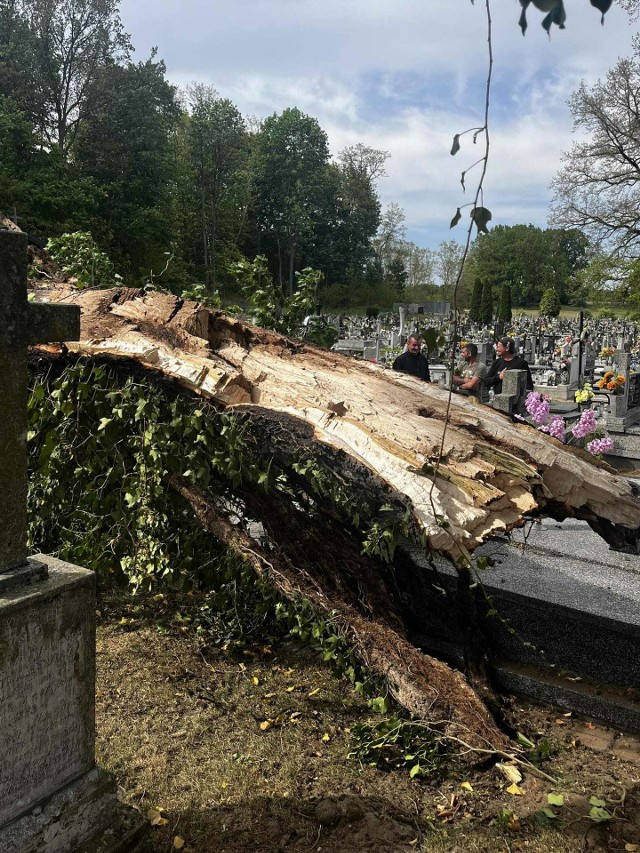 Znaczne zniszczenia na cmentarzu parafialnym w Złotym Potoku. Zobacz kolejne zdjęcia. Przesuwaj zdjęcia w prawo - naciśnij strzałkę lub przycisk NASTĘPNE