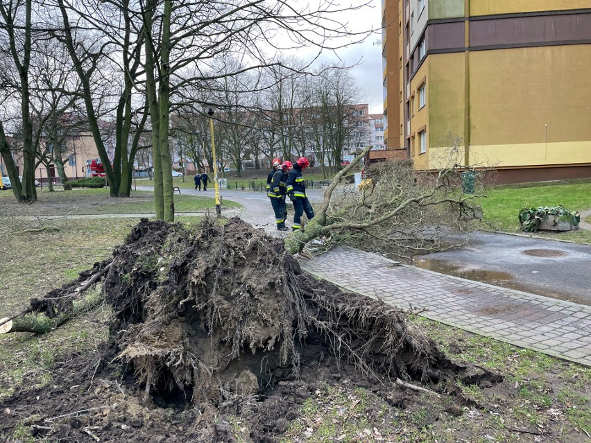 Osiedle Bukowe w Szczecinie, ulica Pomarańczowa