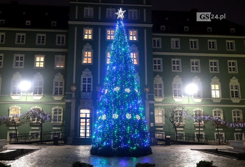 Choinka przed szczecińskim urzędem ma ponad 12 metrów...