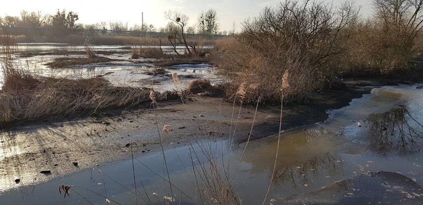 Kiedy posprzątają bałagan z Łarpii? Czekamy na działanie  