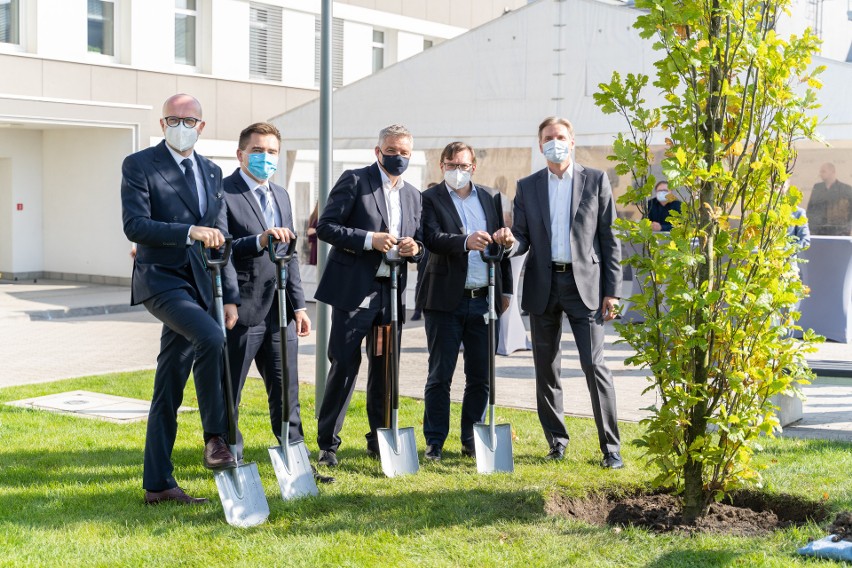 Drzewo ma przypominać etapy rozwoju firmy.