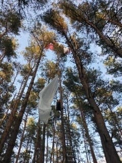 W Koperni paralotniarz zawisł na drzewach, 10 metrów nad ziemią. Strażacy w akcji!