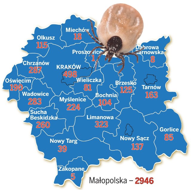 Liczba zarejestrowanych zachorowań na boreliozę w Małopolsce w 2016 roku