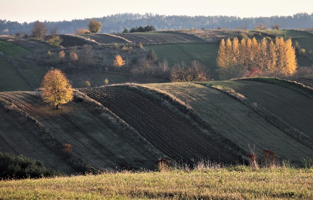 Z remontowanej drogi widać m.in. malownicze pagórki i pola w okolicach miejscowości Sochy oraz Szozdy. Trakt nazywany jest "wrotami Roztocza"