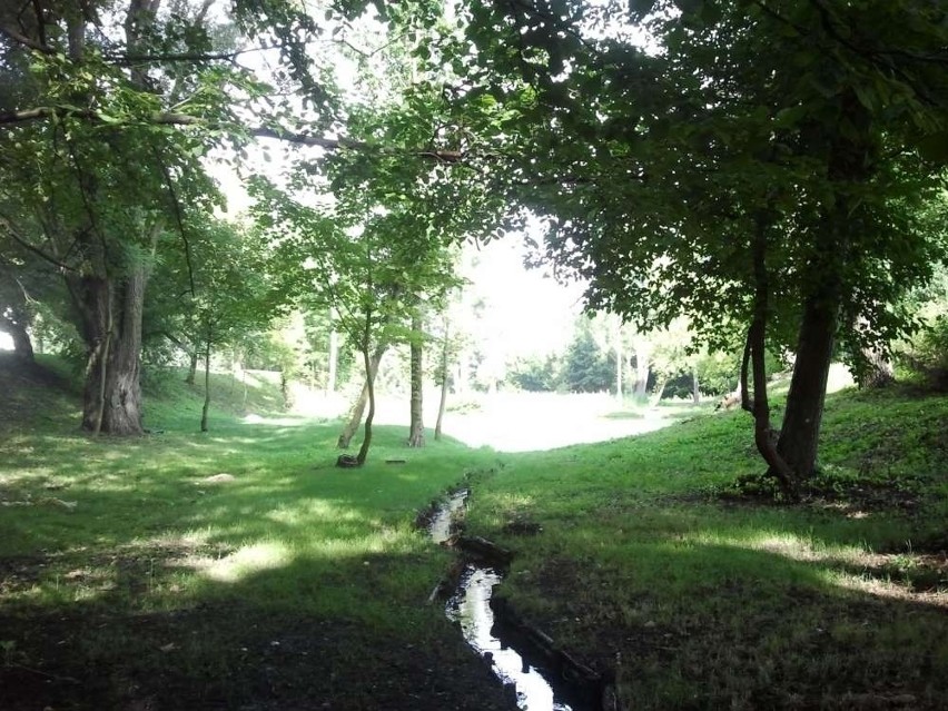 Modernizowany park Nadolnik - strumień zasilający staw wodą...