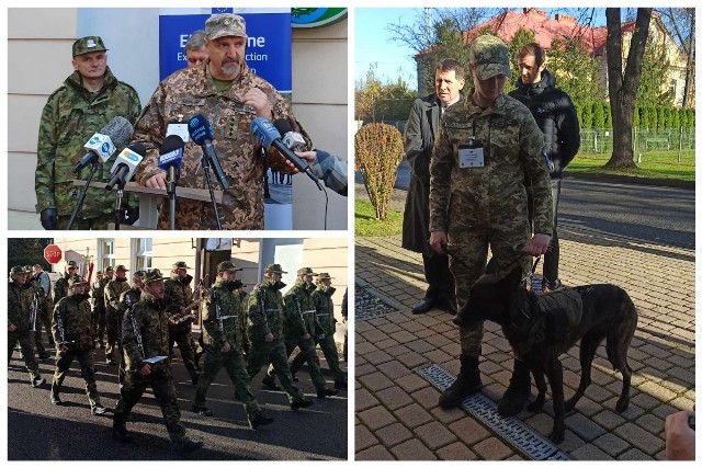 Na Ukrainę trafi teraz dziewięć kolejnych przeszkolonych psów. Mają rozminowywać ogromny teren
