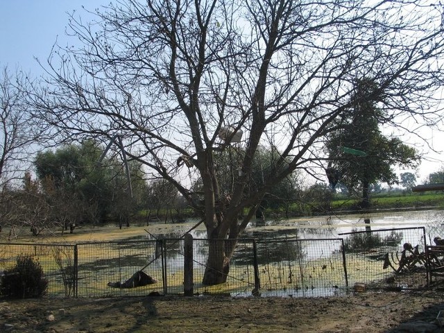 Trzy miesiące po przejściu fali powodziowej na terenie osiedla Wielowieś w Tarnobrzegu nadal utrzymują się ogromne rozlewiska. Jedno z nich jest na końcu ulicy Nowej