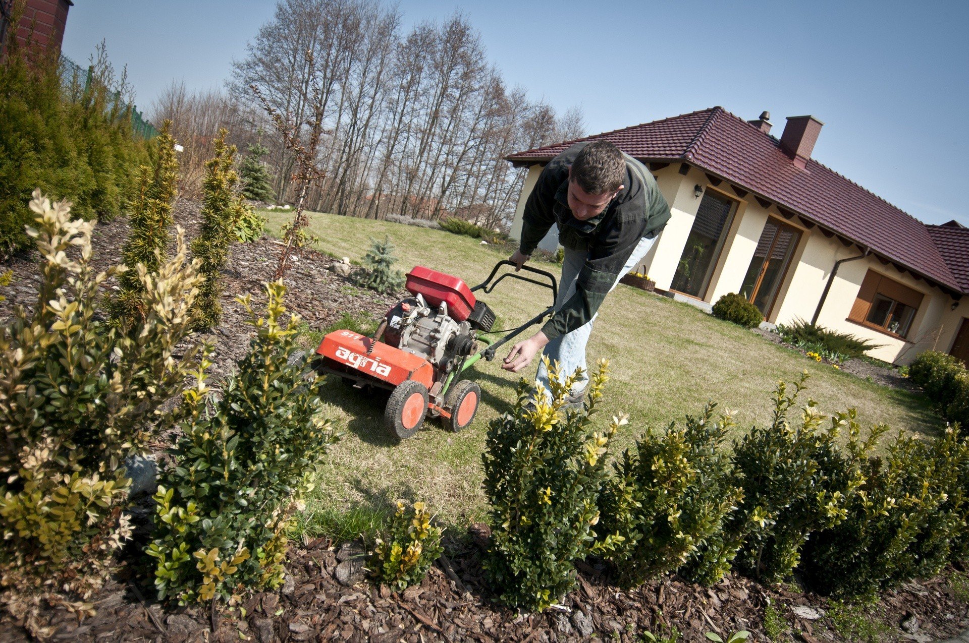 Mulczowanie trawy – na czym polega, czy warto wykorzystać ten sposób  nawożenia trawnika we własnym ogrodzie? | RegioDom