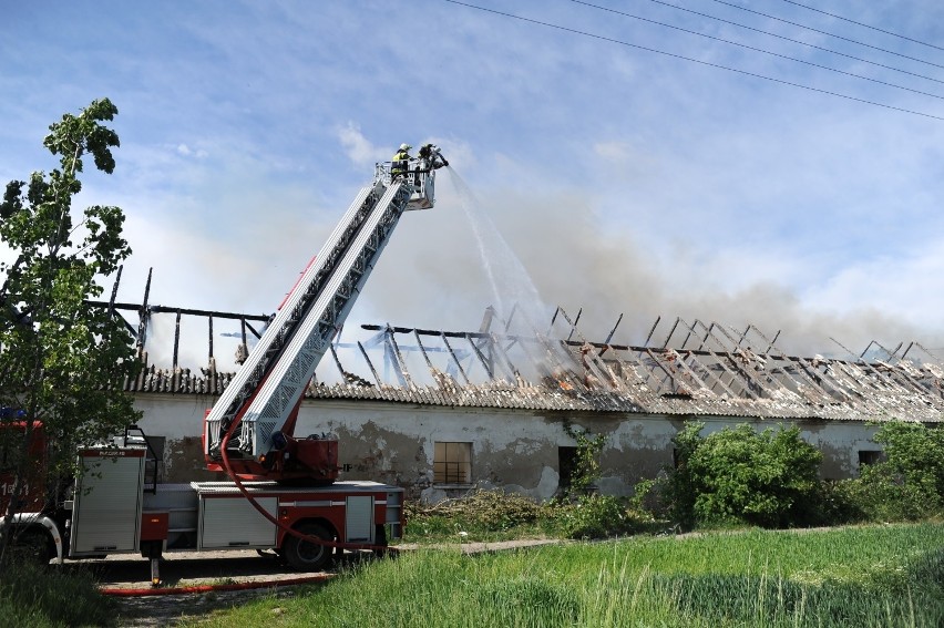 Leszno: Pożar świniarni w Kłodzie. Na miejscu pracuje dziewięć jednostek