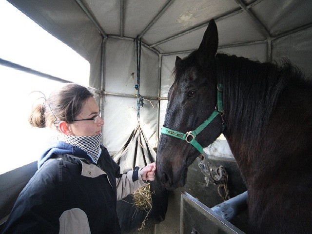 Jonata pojechała do hospicjum dla koni. Tam będzie leczona. 