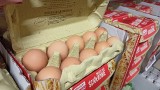 Światowy rynek jaj wygląda bardzo źle. Ceny jajek w sklepach znów mogą rosnąć, bo brakuje kur