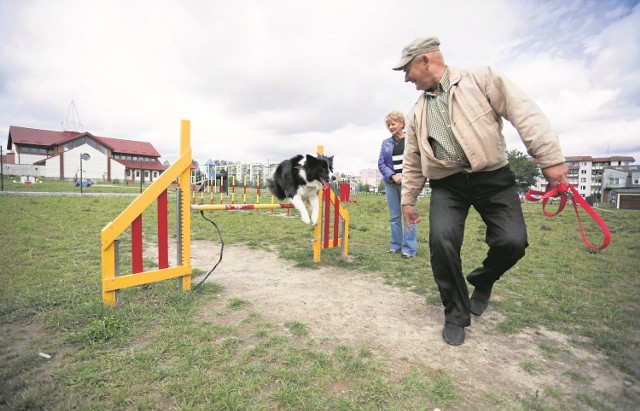 Wybieg dla psów, który powstał w centrum osiedla, regularnie jest odwiedzany przez opiekunów ze swoimi czworonogami. Jednak nie tylko tam psy mogą się wybiegać bez smyczy.