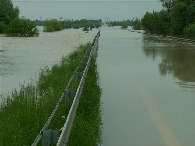 Budowa polderu wymagać będzie także podniesienia i poszerzenia obwodnicy północnej Opola, która teraz w czasie powodzi jest zalewana.