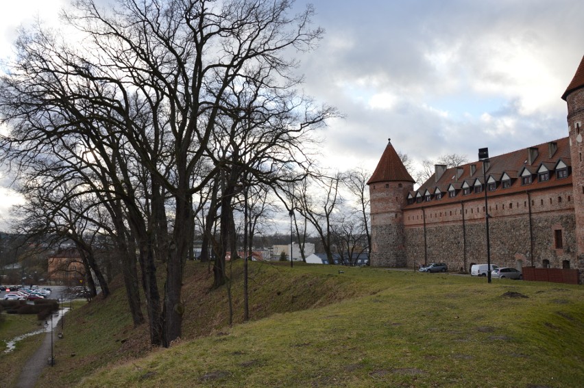 - Na terenie kompleksu zamkowego znajduje się 18 pomników...