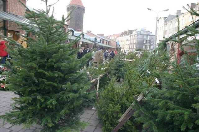  Nadleśnictwo GDAŃSK.Sprzedaż choinek w leśniczówkach Nadleśnictwa Gdańsk rusza 17 grudnia, ale szkoły i instytucje mogą kupić choinki wcześniej w siedzibie nadleśnictwa.Sprzedaż ( od świtu do zmierzchu) prowadzona będzie w leśniczówkach:17 grudnia: Stara Piła20 grudnia: Cisowa21 grudnia: Sopieszyno, Zwierzyniec, Renuszewo22 grudnia: Biała, Rogulewo, Witomino, Sopot23 grudnia: Wyspowo, Dębogórze, MatemblewoKupując choinkę w leśniczówce otrzymamy tylko paragon, by otrzymać  fakturę trzeba odwiedzić siedzibę nadleśnictwa w Gdyni, przy ul. Morskiej 200. Choinki powyżej 2,5 m będą sprzedawane wyłącznie w siedzibie nadleśnictwa. A jakie są ceny (brutto) w nadleśnictwie?Świerki i Sosny 	 do 1,5 m 	25 złdo 2,5 m 	45 zł3 do 4 m 	150 zł5 do 6 m 	400 złJodła 	 do 1,5 m 	50 złpowyżej 1,5 m 	90 złZobacz także:(DeRTL TV/x-news) 