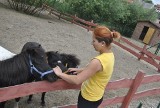 W parku w Radzyniu Chełmińskim zamieszkały nowe zwierzęta [zobacz zdjęcia i wideo]