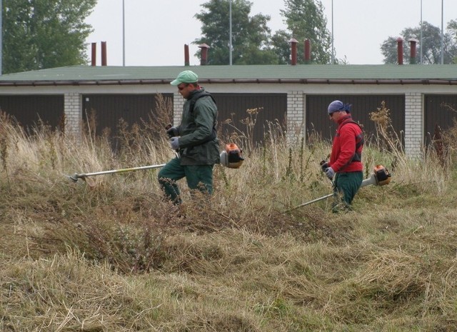 Roślinność ukrywała tworzone przez lata wysypisko gruzu i ziemi, gdy kosiarze skończyli swoją robotę, wszystko zostało odsłonięte