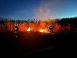 Strażacy apelują: nie wypalajmy traw! Można za to dostać karę do 30 tys. zł