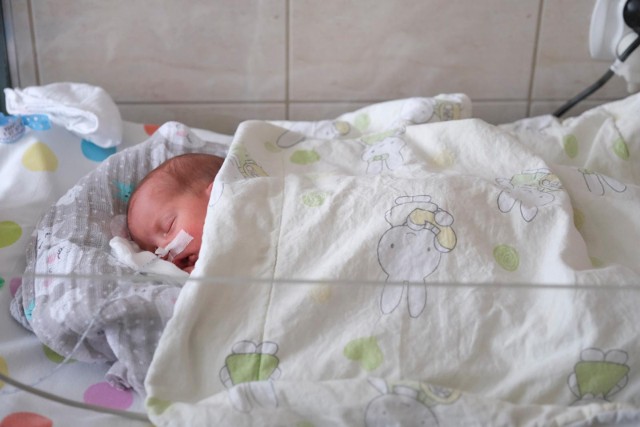 W Wojewódzkim Szpitalu Specjalistycznym rokrocznie rodzi się wiele dzieci.