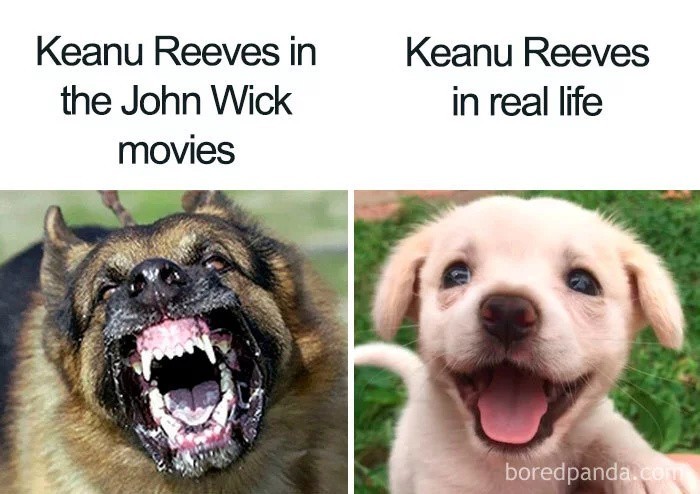 > Keanu Reeves w serii filmów "John Wick"...