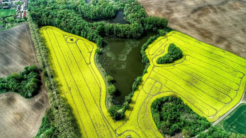 Jadąc od strony Gorzowa na Gdańsk do Brzozy skręca się 4 km...