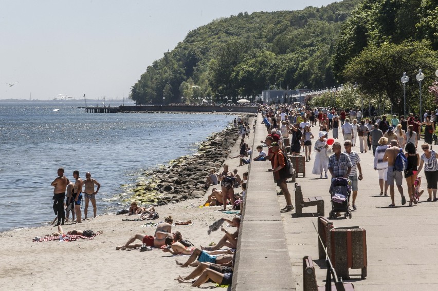 Jak Gdynia wypada statystycznie?