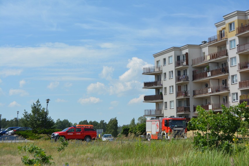 Ostrołęka. Wyciek gazu na ul. Cieplińskiego "Pługa", 26.06.2020