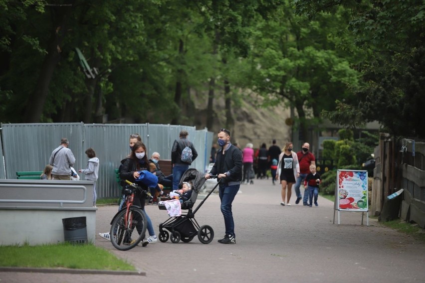 Łodzianie w ten weekend odwiedzają łódzkie zoo i Ogród Botaniczny. ZOBACZ ZDJĘCIA