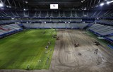 Wymieniono murawę na stadionie w Lille [ZDJĘCIA]