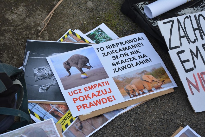 Protest przeciwko cyrkom ze zwierzętami w Cieszynie