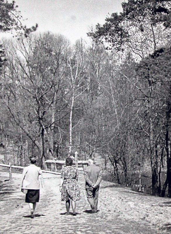 Majowy spacer po Lesie Łagiewnickim.