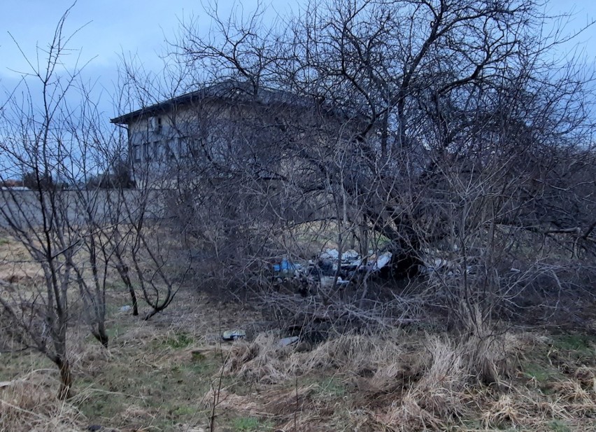 Opolanie skarżą się, że ratusz nie dba należycie o porządek...