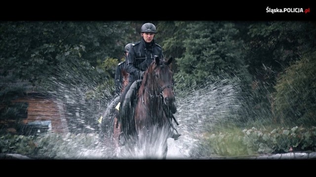 Policja zachęca do wstąpienia w jej szeregi. W 2022 roku w śląskim garnizonie przyjętych zostało do służby 523 policjantów i policjantekZobacz kolejne zdjęcia/plansze. Przesuwaj zdjęcia w prawo naciśnij strzałkę lub przycisk NASTĘPNE