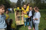 Hotele dla pszczół w łódzkich parkach [zdjęcia]