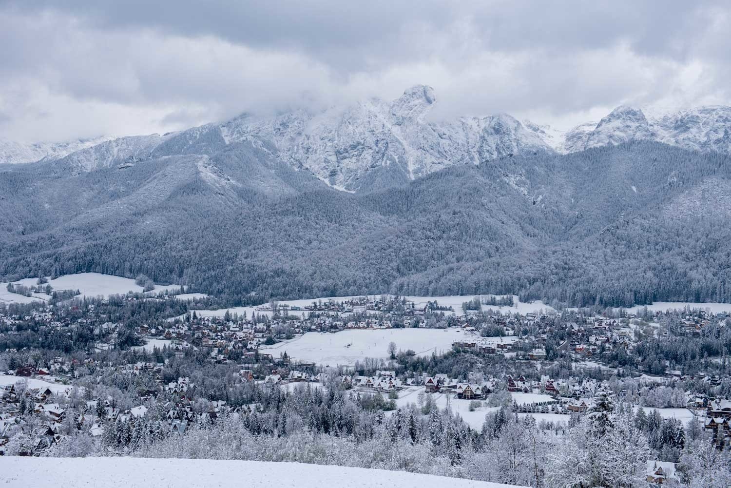 Zakopane Pod Sniegiem W Miescie Spadlo Kilka Centymetrow Sniegu Zdjecia Polska Times