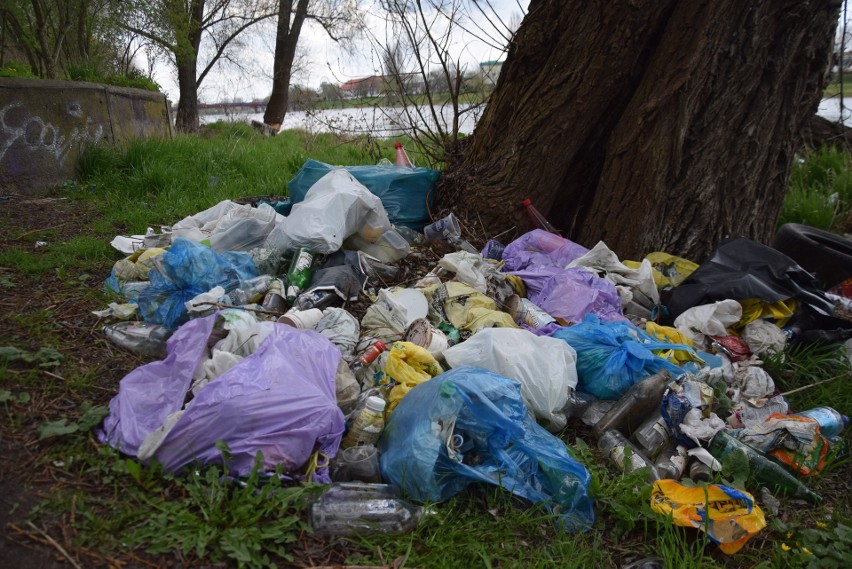 Śmieci nad brzegiem Warty walają się od lat. Dużo jest tu...