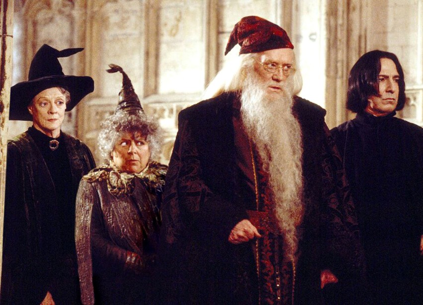 Nauczyciele z Hogwartu  ("Harry Potter")...