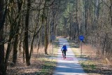 Drogi rowerowe w Toruniu. Ile ich jest i gdzie jeszcze powstaną?