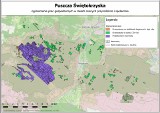 Minister Klimatu i Środowiska wprowadza ograniczenia wycinki drzew w Puszczy Świętokrzyskiej 
