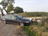 Powiat przasnyski. Wypadek na trasie Przasnysz-Mchowo. 28.07.2019 [ZDJĘCIA]