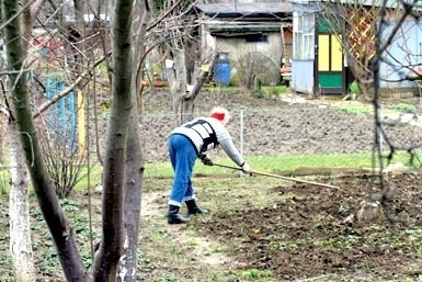 Porządki na działkach w Słupsku.